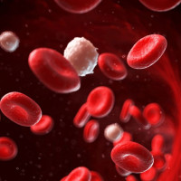 Контроль рівню цукру в крові - все для активного способу життя
