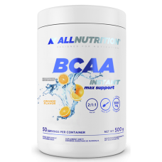 BCAA Max Support Instant - 500g Orange