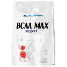 BCAA Max Support - 1000g Orange