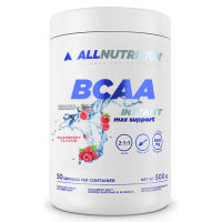 BCAA Max Support Instant - 500g Raspberry