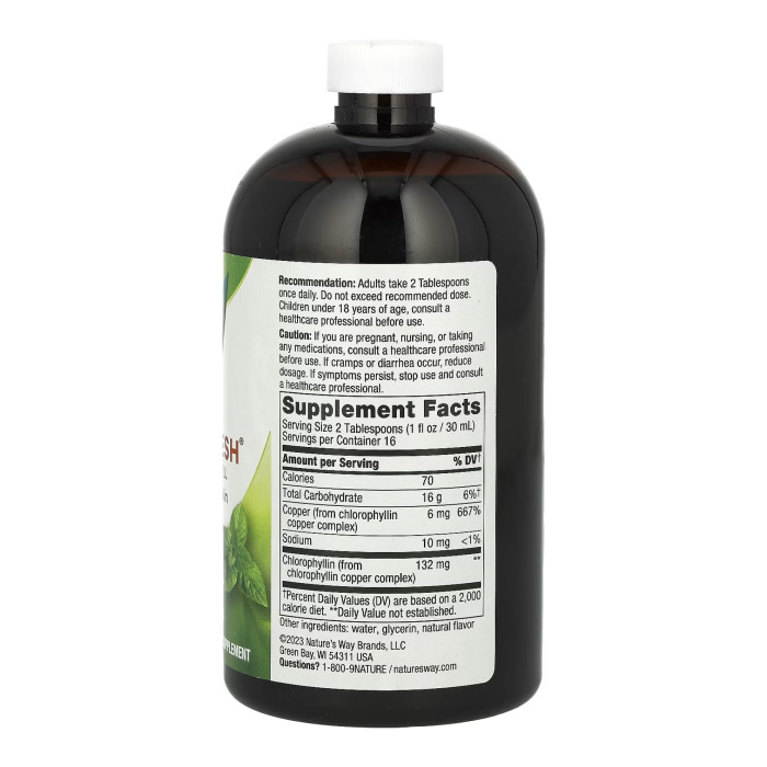 Chlorofresh® Liquid - 16 oz Mint (Пошкоджена банка)