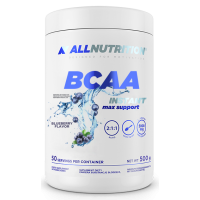 BCAA Max Support Instant - 500g Bllueberry (До 10.26)
