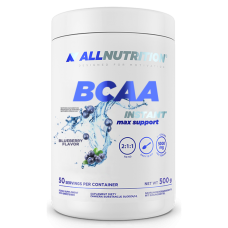 BCAA Max Support Instant - 500g Bllueberry (До 10.26)