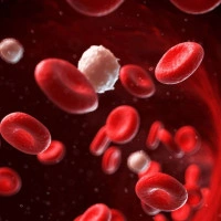Контроль рівню цукру в крові - все для активного способу життя Контроль рівню цукру в крові - все для активного способу життя
