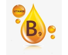 Вітамін B9 (Фолієва кислота)